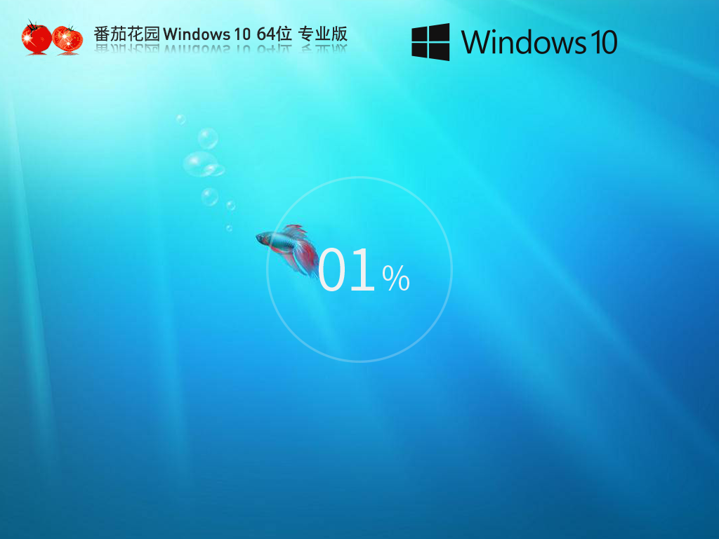 番茄花园Win10下载-2025番茄花园Win10官方正式版下载
